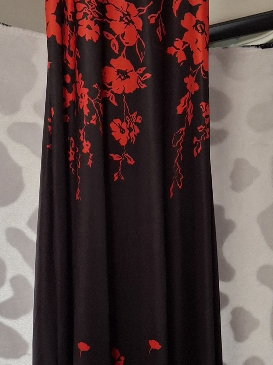 Dresses & Skirts - Black Maxi Dress with Red Floral Print
